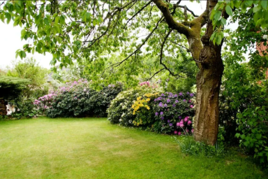 Сад и огород